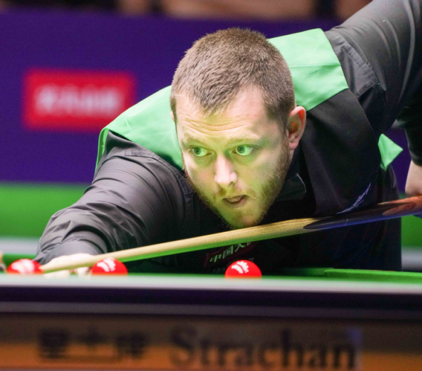 中也起到了 中也起到了