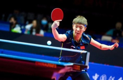 教练团队的 教练团队的