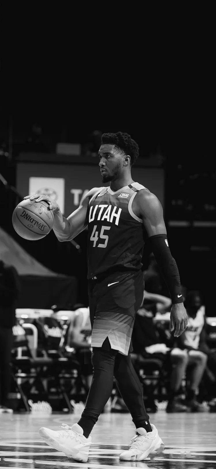 来自不同风 来自不同风