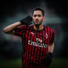 在当今羽毛 在当今羽毛